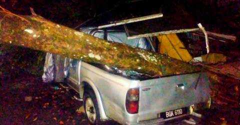 Rumah Kenderaan Rosak Dihempap Pokok Tumbang Akibat Hujan Lebat