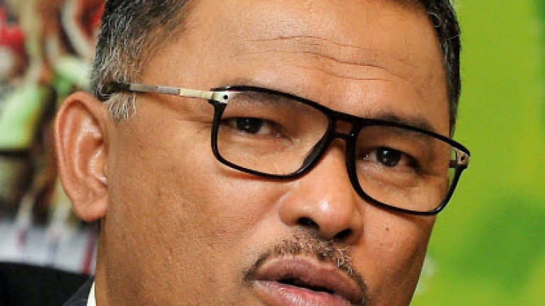 Beware of 'sores' within Umno: Idris
