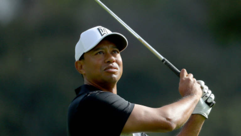 McIlroy relishes chance to play alongside Tiger
