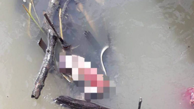 Corpse of newborn girl found near jetty