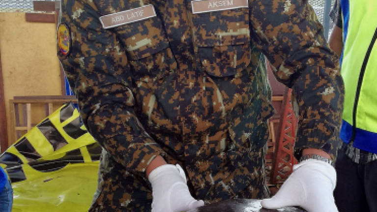 Turtles worth RM3,000 found during raid in cigarette smuggling case