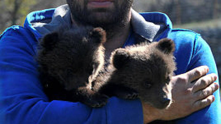Orphaned bear cubs win hearts in Montenegro