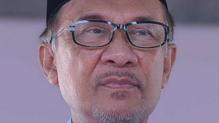 PH survey shows Anwar is in pole position to win PD by-election