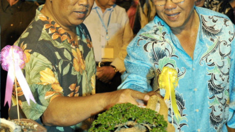 Orchid industry has export values of up to RM700 mil, says DPM