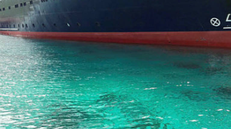 Indonesia vows action after UK cruise ship ruins coral reef