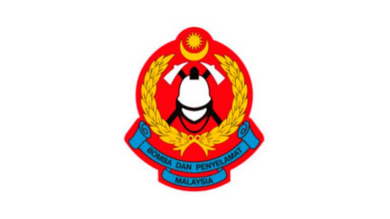 Logo Jambatan Bomba dan Penyelamat