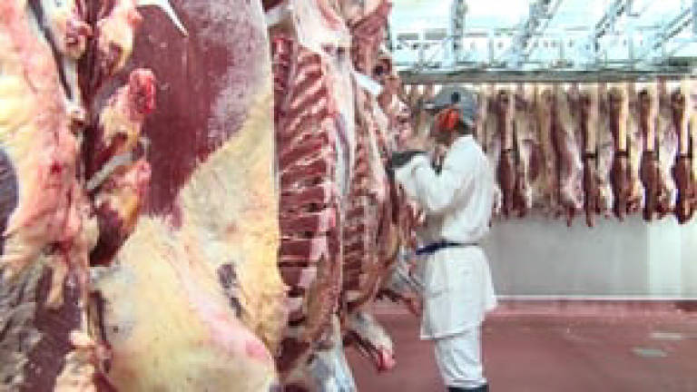 Malaysia suspends imports from three Australian beef, sheepmeat suppliers