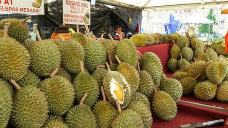 'Fake news on rejected durians can potentially affect marketing in China'