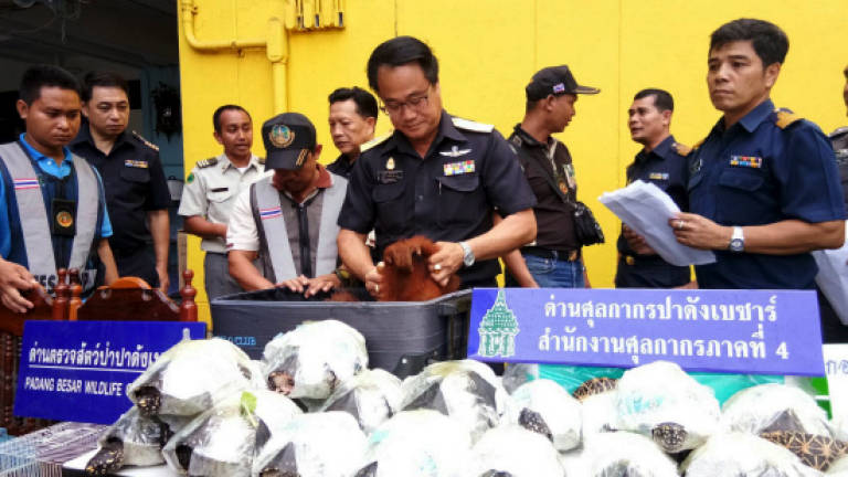 Thai customs foil wildlife smuggling attempt by M'sian
