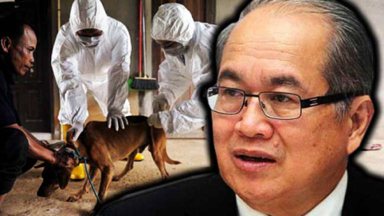 Kampung Sampun Gerunggang, Asia Jaya declared 26th infected rabies area