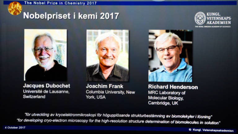 Trio takes chemistry Nobel for 'cool' method to study molecules