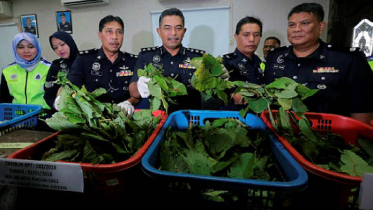 Police break up Perak-based ketum processing operation