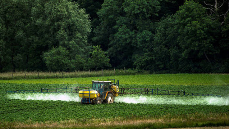 French government declares war on pesticides