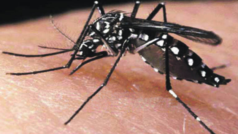1,519 dengue fever cases recorded in Pahang