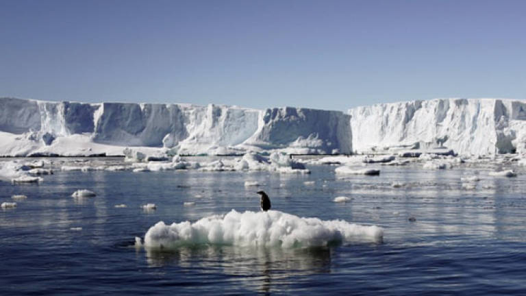 Shipping risks rise as Antarctic ice hits record low