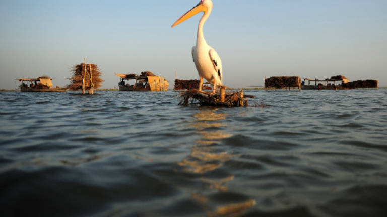 Paradise lost: How toxic water destroyed Pakistan's largest lake