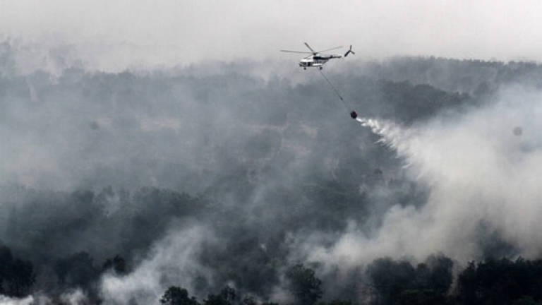 Sarawak unlikely to be affected by haze this year: NREB