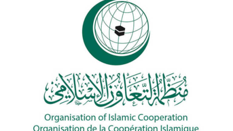 Indonesia calls for OIC special meeting on Al Aqsa issue