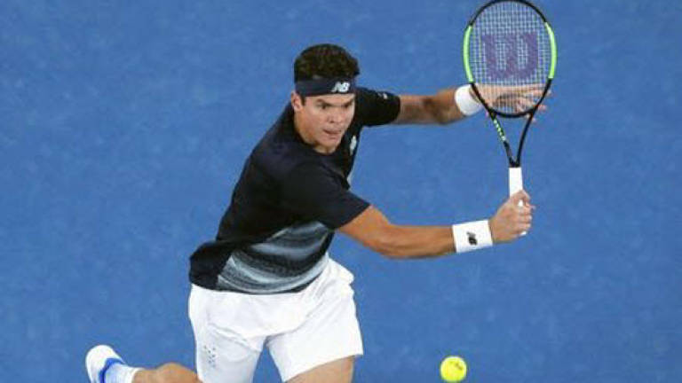 Raonic and Cilic to slug out Istanbul final