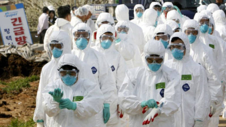 S. Korea issues top bird flu alert