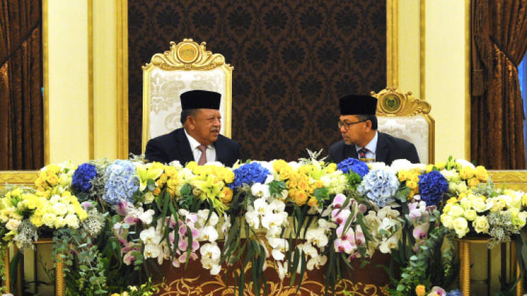 Raja of Perlis chairs 246th meeting of conference of rulers
