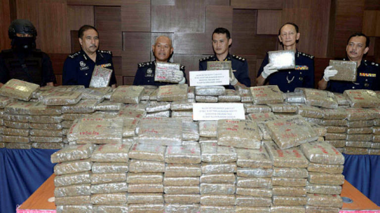 Police seize 527.9kg cannabis worth RM1.58m in Alor Star