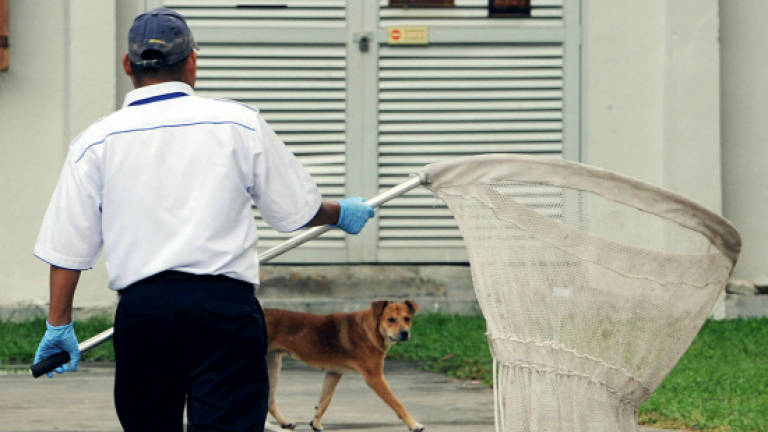 3 children infected by rabies in Sarawak