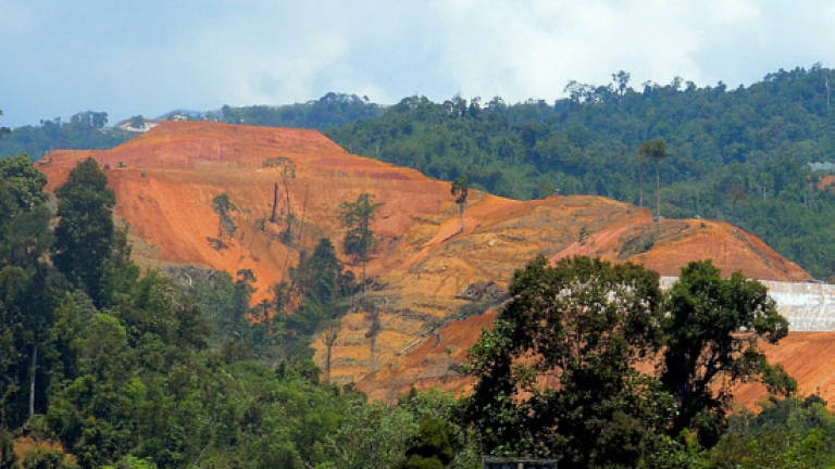Orang Asli villagers stop excavator from destroying water catchment area in Lojing