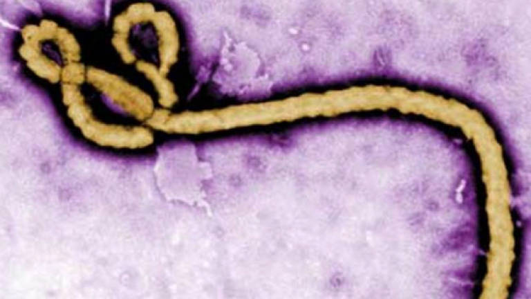 Liberia says latest Ebola fatality travelled to Guinea