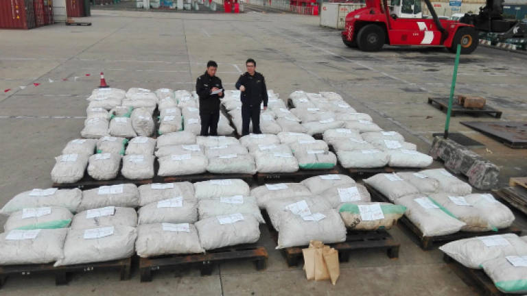China in biggest-ever pangolin scale seizure