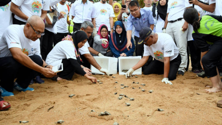 Malacca suggests corporate companies help in turtle conservation