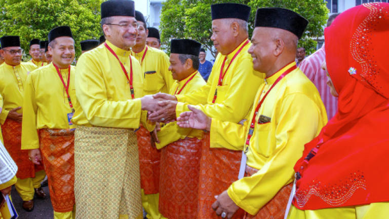 Umno members advised against being influenced by issues
