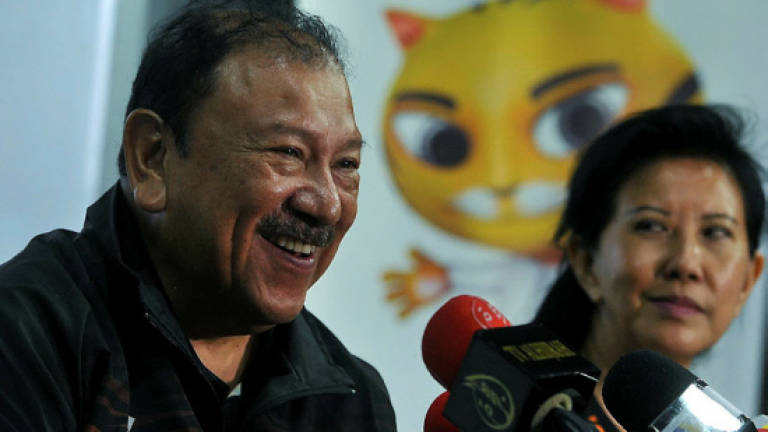 Sultan Mizan withdraws from KL SEA Games