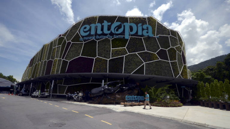 Entopia's green wall enters record as biggest in the country