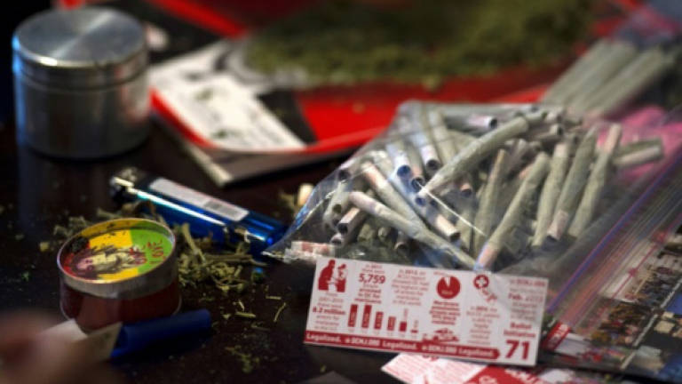 Pro-cannabis group hands out thousands of free joints in Washington