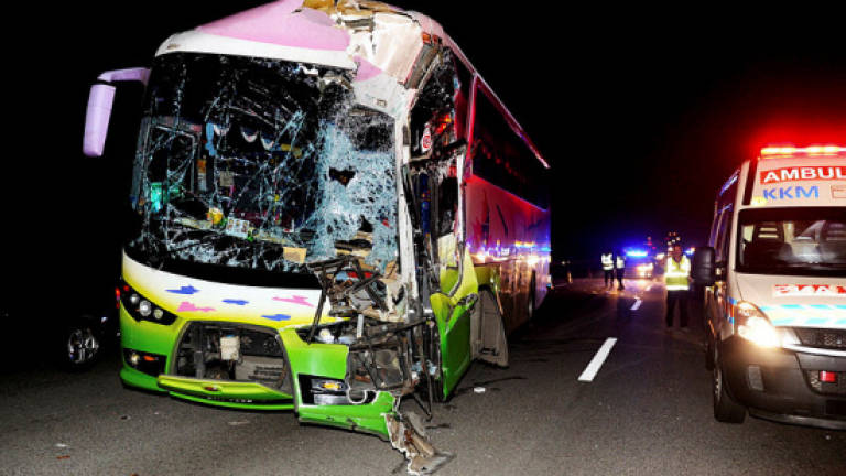 No action against driver of bus which rammed into elephant