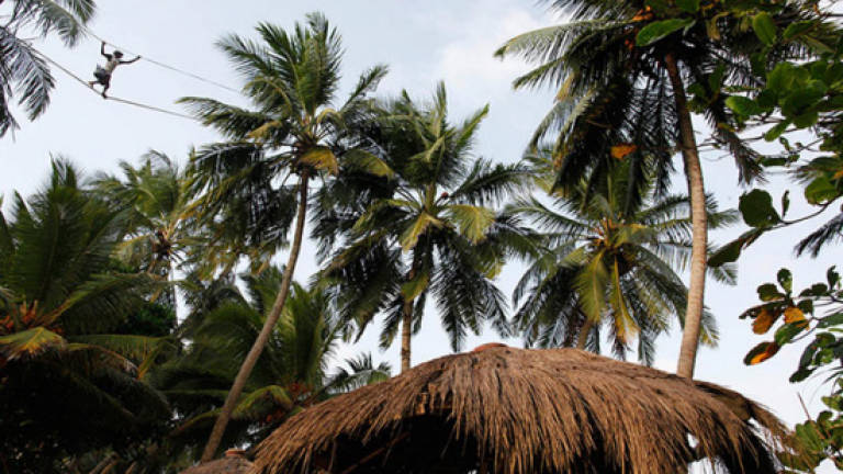 Penang Fama denies coconut price increase
