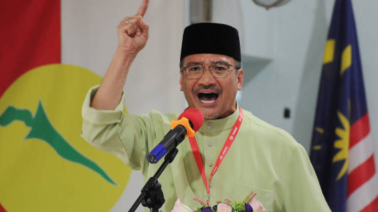 Hishammuddin dares Mahathir to contest in Pekan