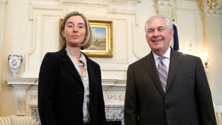 EU envoy Mogherini in first meetings with Trump team