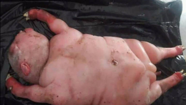 Birth of ‘half-human, half-devil’ lamb strikes fear in villagers Birth of ‘half-human, half-devil’ lamb strikes fear in villagers