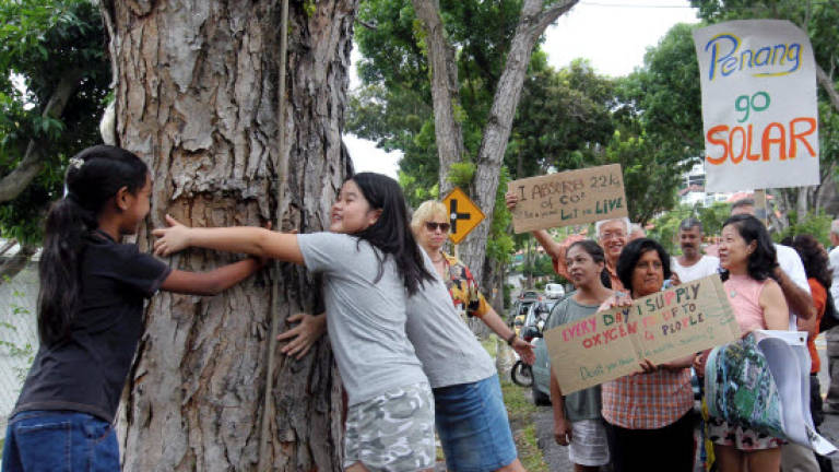 Residents fight to save neighbourhood trees