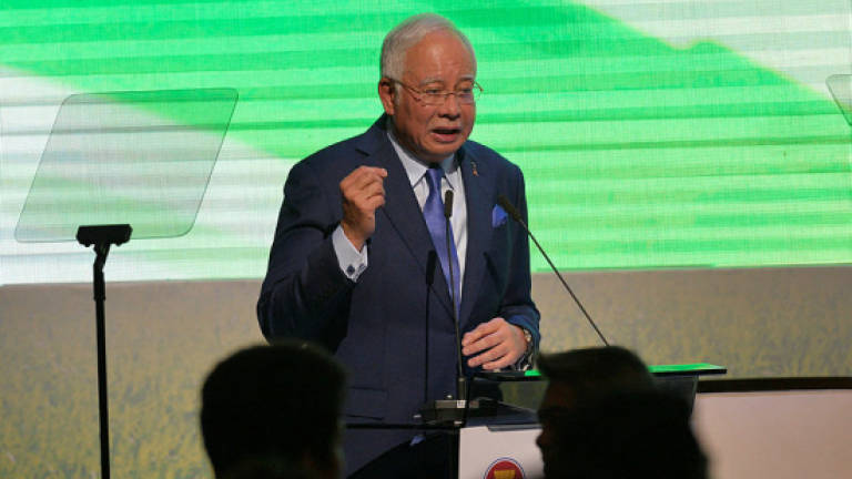 Gov't appreciates NGOs role in helping people: Najib