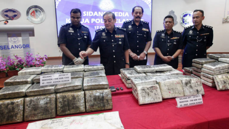 More than 11,000 held during drug raids