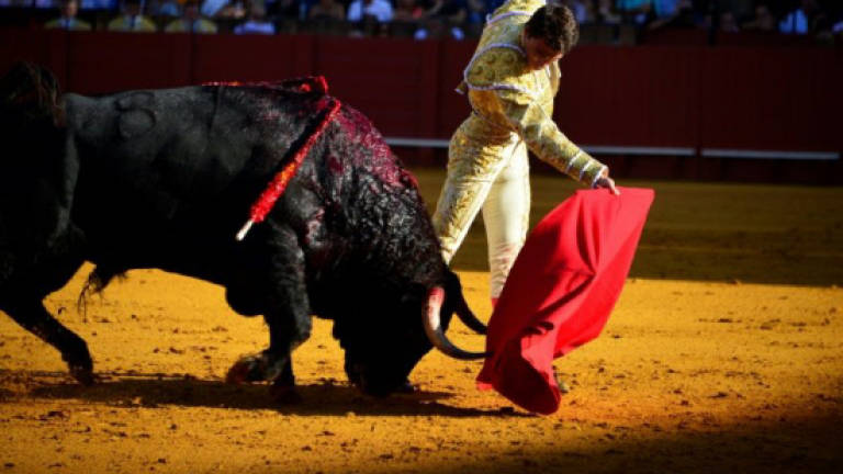 Madrid to contest bullfighting ban on Balearic Islands