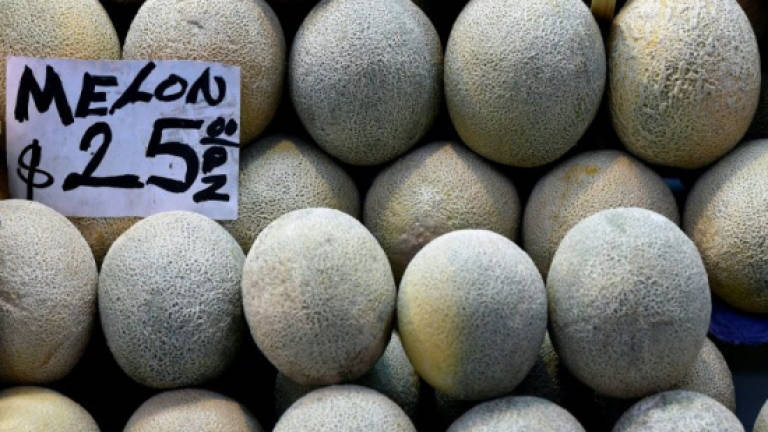 Fourth person dies in Australia from contaminated melon