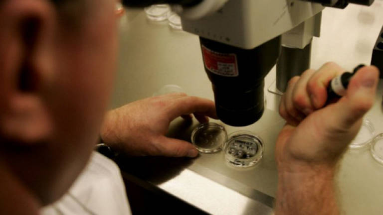 Dutch medical centre probes suspected IVF sperm mix-up