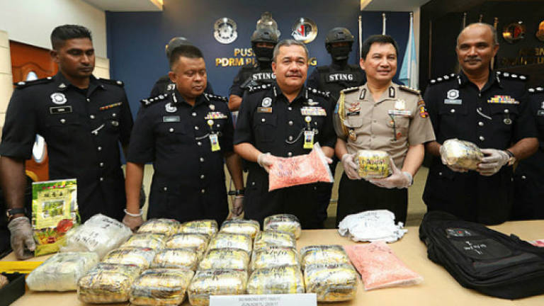 Malaysian and Indonesian police cripple international drug syndicate