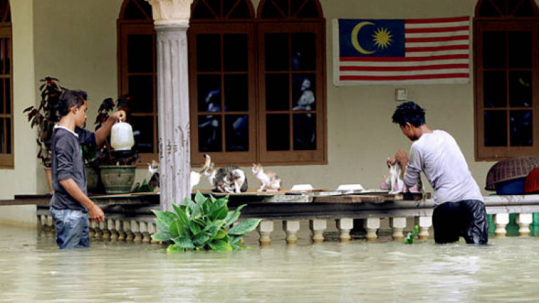 Flood evacuees in Perak up to 576 by noon, figures in NS and Sabah remain same