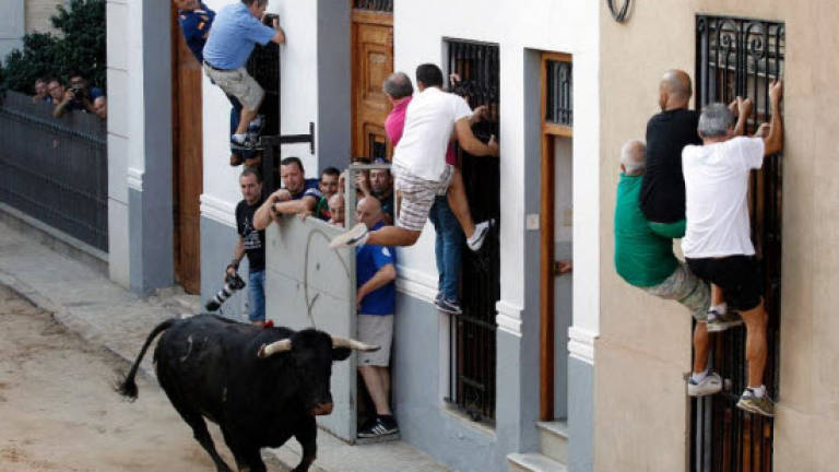 Spanish bull run deaths rise to 12