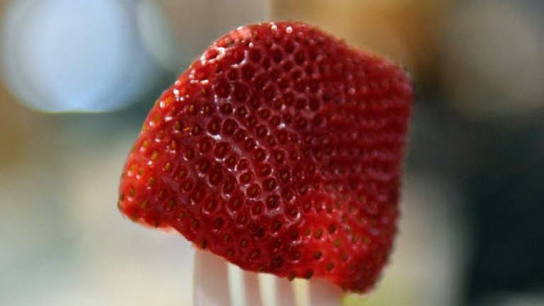 Australia strawberry crisis now tastes a little sweeter for farmers